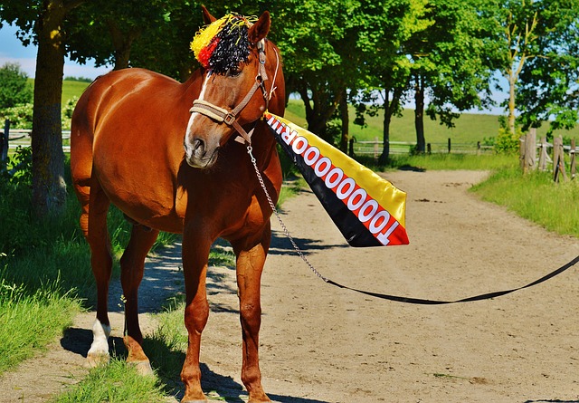 始为季后赛 始为季后赛