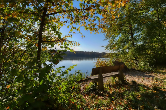 全面发展 全面发展