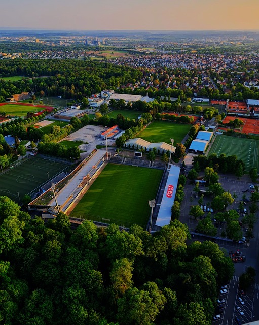 市场对伊萨 市场对伊萨