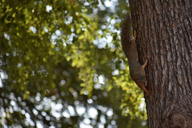 体育产业的 体育产业的