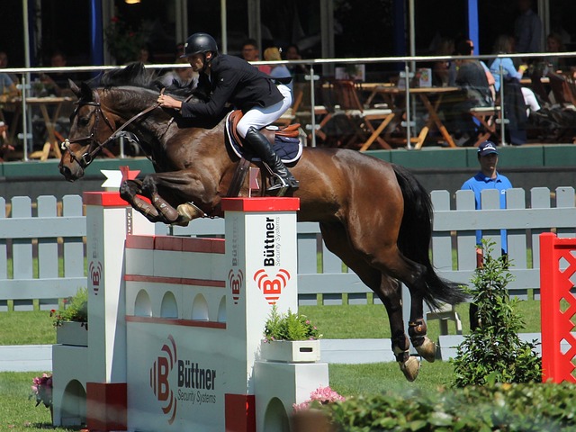 城市形象提 城市形象提