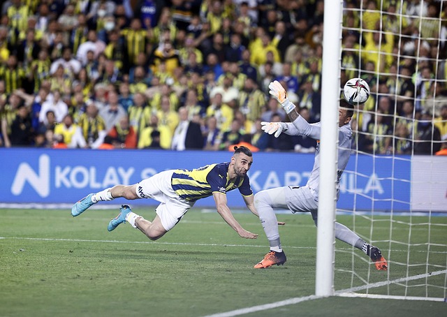 重回巅峰的 重回巅峰的