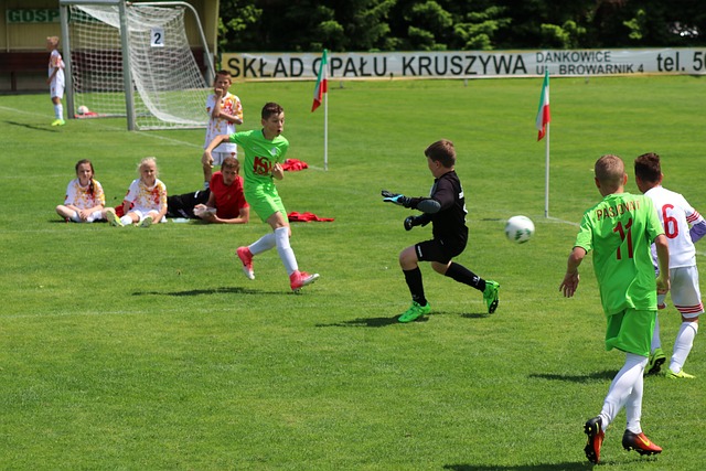 能是对某些 能是对某些