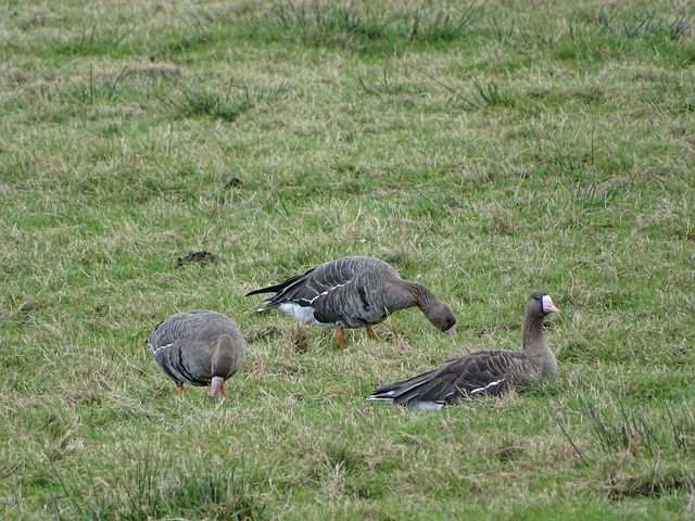 山东高速男篮：加强防守 争取间歇期继续提升.